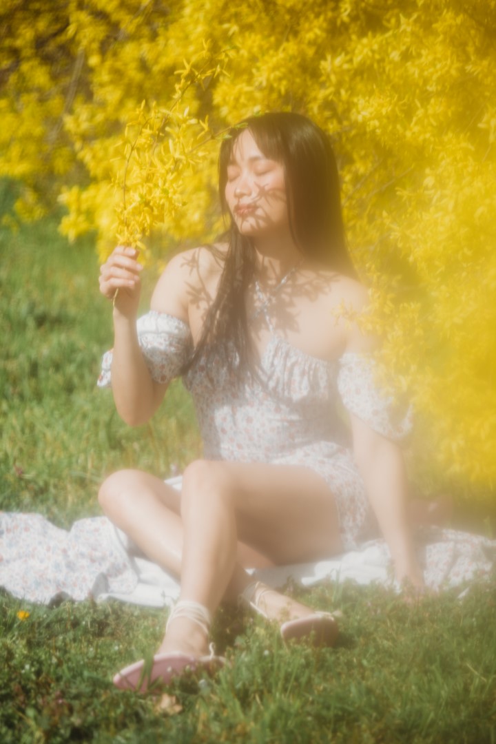 aranyeső bokor, tavaszi portré fotó